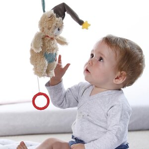 Fehn Mini-musical bear - Taf Toys