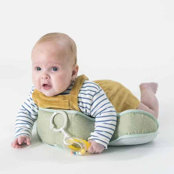 Taf Toys aktiivsuspadi Savannah - Taf Toys
