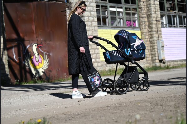 Nordbaby Active Lux tarvikute kott, Hanikat - Nordbaby