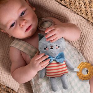 Taf Toys riputatav mänguasi Clara - Taf Toys