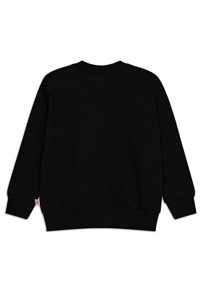 Legowear sweatshirt Lwsian 205 - Legowear