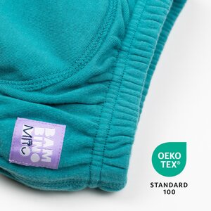 Bambino Mio тренировочные трусики Teal - Bambino Mio
